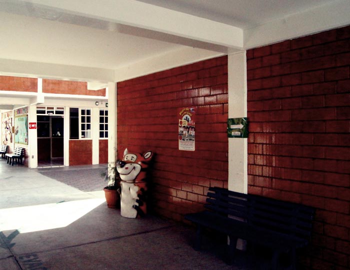 Um ambiente limpio y ordenado